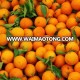 2017 Fresh mandarin orange/tangerine for sale