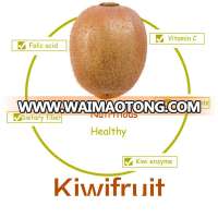 Bulk Kiwi fruit