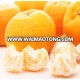 fresh mandarin orange /lugan/ponkan on sale