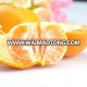 Best for you fresh ponkan orange quince fruit