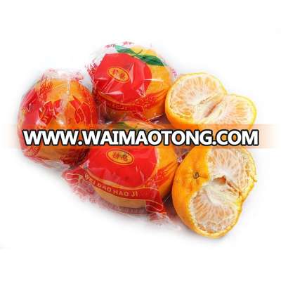 Sweet fresh lugan mandarin export ponkan