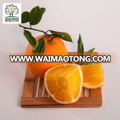 Fresh mandarin orange fresh fruit