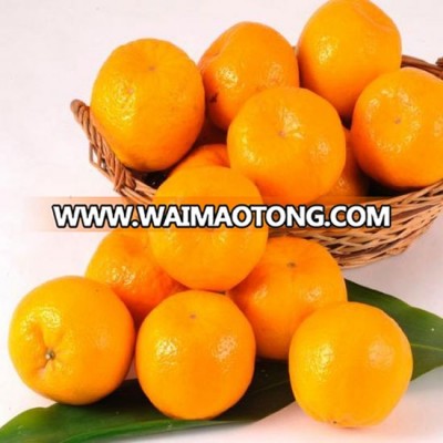 Best factory price mandarin lugan sale