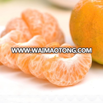 Fresh ponkan citrus fruit