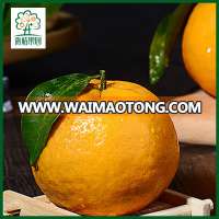 BULK MANDARIN ORANGES FOR SALE