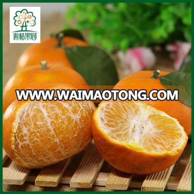 Fresh citrus fruits maker