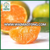 Promotinal mandarin oranges fresh on sale