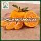 Sweet honey mandarin orange season fruits