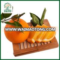 Sweet Newhall Navel Orange Citrus Fruit