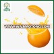 Best price fresh citrus fruit navel orange fresh fruits wholesale