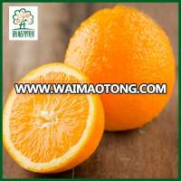 Cheap bulk citrus fruit