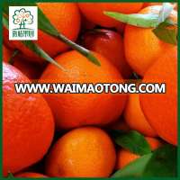 Newhall orange fruit quality