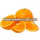 International trading calamansi lanelate navel orange