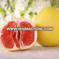 Fresh citrus fruit pomelo chinese for sale