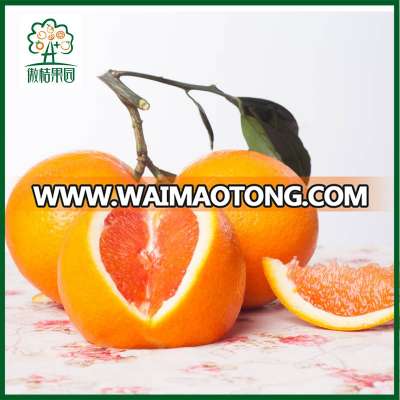 Sell Chinese sweet navel red pulp orange