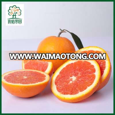 Foreign trade standard red orange fruit for juice