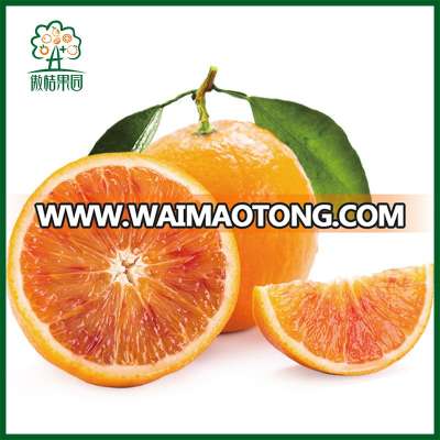 Best sale natural blood orange for extract