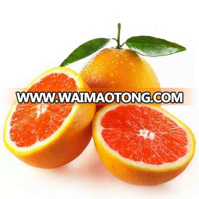 Fruit fresh mandarin exporter blood oranges