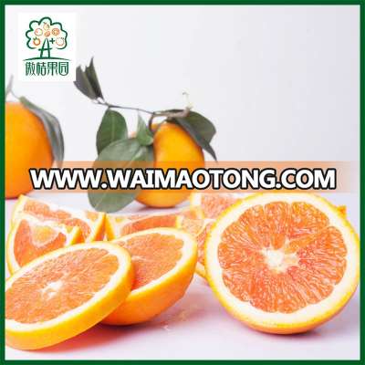 Red newhall navel orange new crop orange