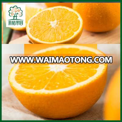 Green food red navel orange nanfeng sweet orange