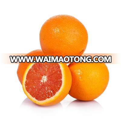 Red blood orange fruit