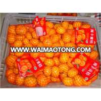 Baby Mandarin Orange / Nanfeng Orange /Fresh Mandarin Orange