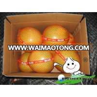 Fresh honey light green shaddock pomelo,organic pomelo