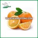 Navel orange Chinese Exporter