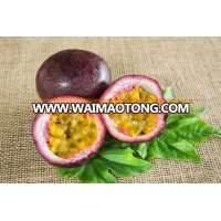 High quality PASSION FRUIT with best price