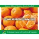 Ponkam Mandarin Orange